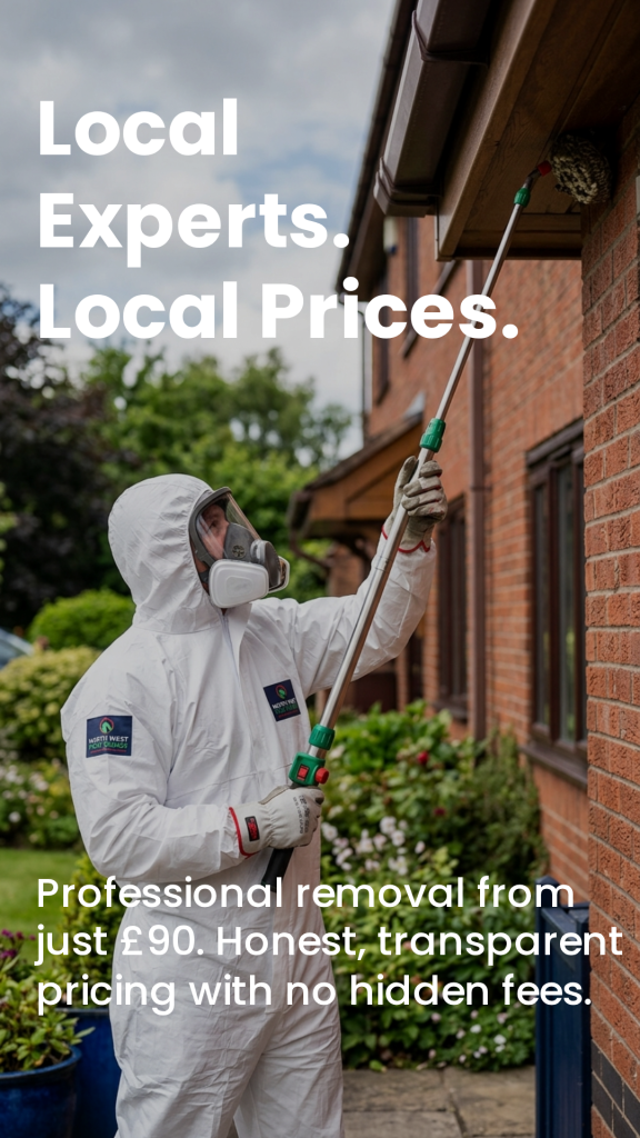 Wasp nest treatment in liverpool